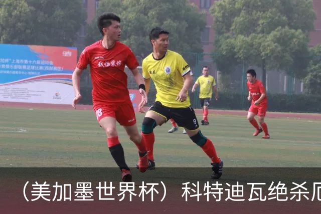 （美加墨世界杯）科特迪瓦绝杀厄瓜多尔 瑞典5:1大胜突尼斯